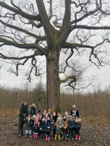 notre sortie au bois Fenestreau