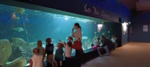 Visite de l’aquarium de Talmont