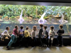 Visite de l’aquarium de Talmont pour les MS/GS