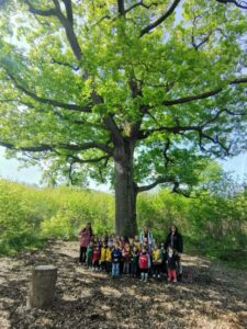 Le printemps au bois Fenestreau
