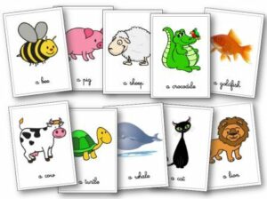 CP-B : le vocabulaire des animaux en anglais